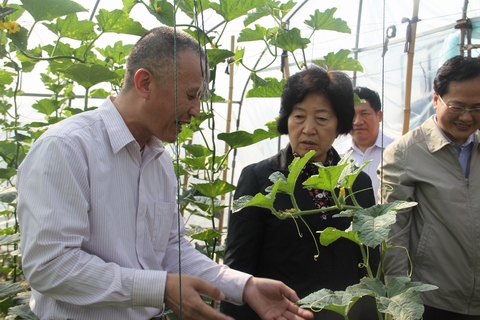 圖片關鍵詞