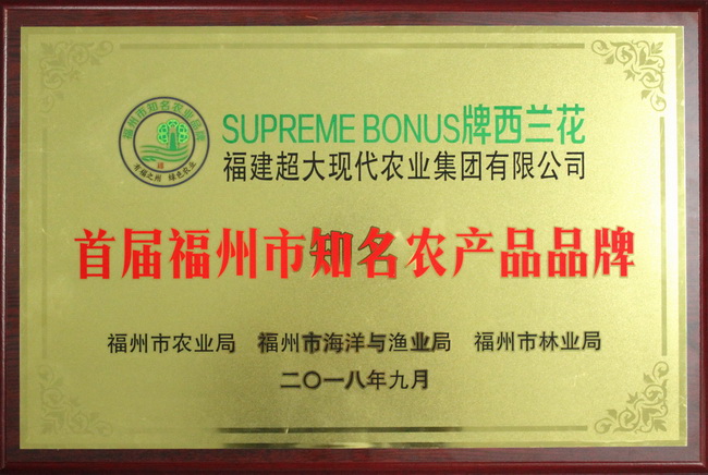 超大 超大現(xiàn)代農(nóng)業(yè) 超大現(xiàn)代農(nóng)業(yè)集團